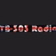 TB-303 Radio logo