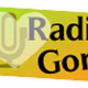 Logo de Radio Gorj