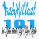 Logo de Babyhillcat 101