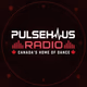 Logo de PulseHaus Radio
