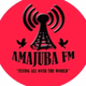 Amajuba Fm logo