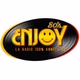 Enjoy 80's logo