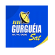 Rede Gurguéia Sat 87.9 logo