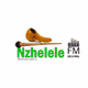 Nzhelele FM logo