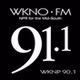 WKNO 91.1 - WKNP logo