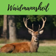 Logo de Waidmannsheil