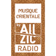 Logo de Allzic Radio - Orientale