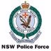 New Castle Fire and Police logo