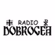 Radio Dobrogea 99.7 FM logo