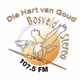 Logo de Bosveld Stereo