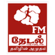 Theydal FM logo