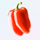 Radio Squallor logo