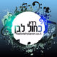 רדיו כחול לבן logo