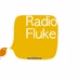 radio fluke logo