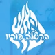 ברסלב פוריו logo