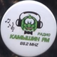 Радио Камышин ФМ logo