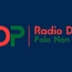 Logo de Disco Polo Non Stop FM