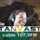 Stanvaste Radio logo