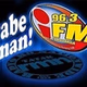 iFM 96.3 - DXWR logo