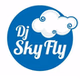 RADIO SKYFLY logo
