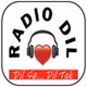 Radio Dil logo