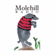 Logo de Molehill Radio
