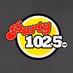 Party 102.5FM logo