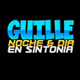 Guilleland logo