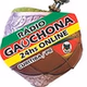 Rádio Gauchona logo