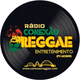 Logo de Rádio Conexão Reggae