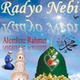 Radyo Nebi logo