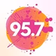 Fidelity 95.7 FM - WFDT logo