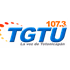 TGTU logo