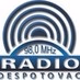 Logo de Puls 91.1 FM - Radio Despotovac
