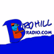 Logo de Birdhill Radio