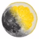lemoon logo