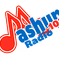 Mashup 102 Radio logo