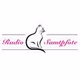 Logo de Katzenwelle