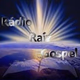Logo de Rádio Raiz Gospel