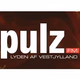 Logo de Pulz Fm