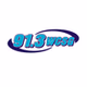 91.3 WCSG logo