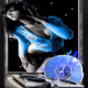 Logo de Dancefox24