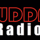 Logo de WDDF Radio