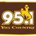 Logo de Y95 Country Radio