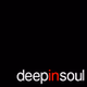 DeepInSoul logo