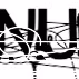 Logo de Tims Radio