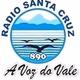 Logo de Radio Santa Cruz 890