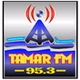 Tamar FM 95.3 logo