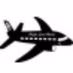 Logo de Flight Level Radio