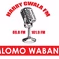 Harry Gwala FM logo